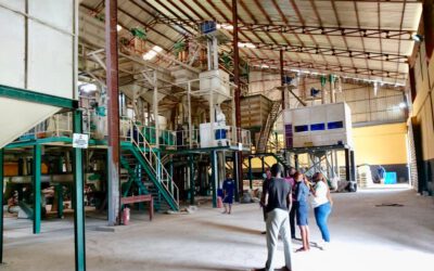 NIRSAL CREDIT RISK GUARANTEE: SUPPORT TO AGRO  PROCESSING HITS ₦73 BILLION